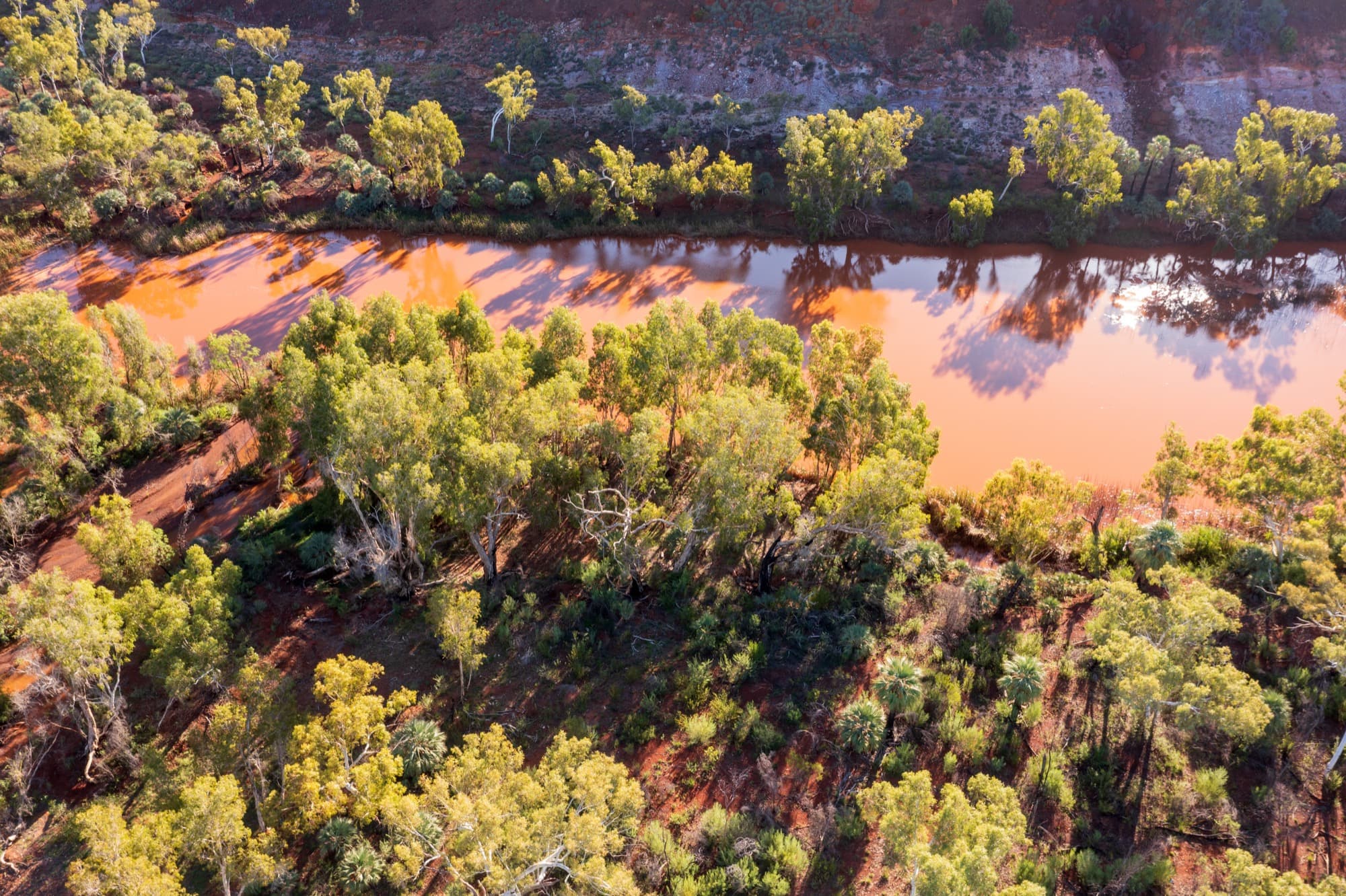 Fortescue — Green technology
